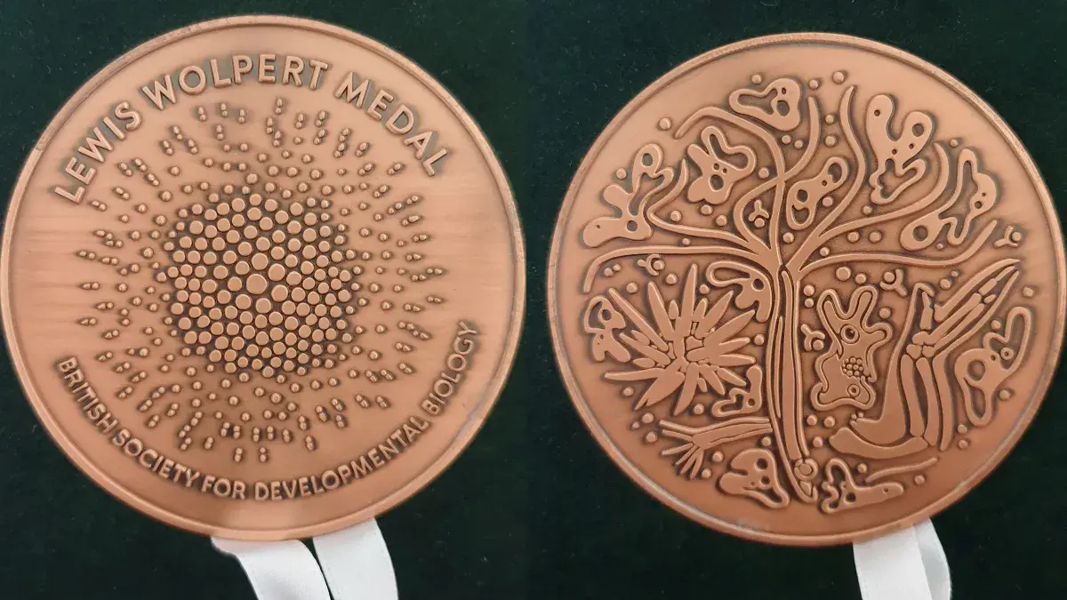Wolpert Medal 2024