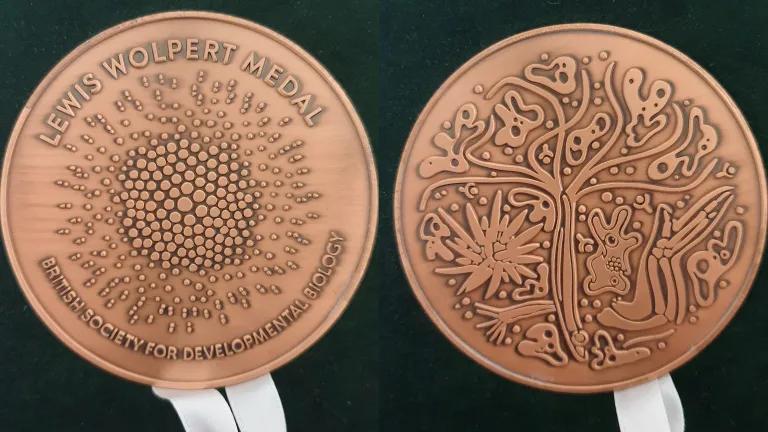 Wolpert Medal 2024