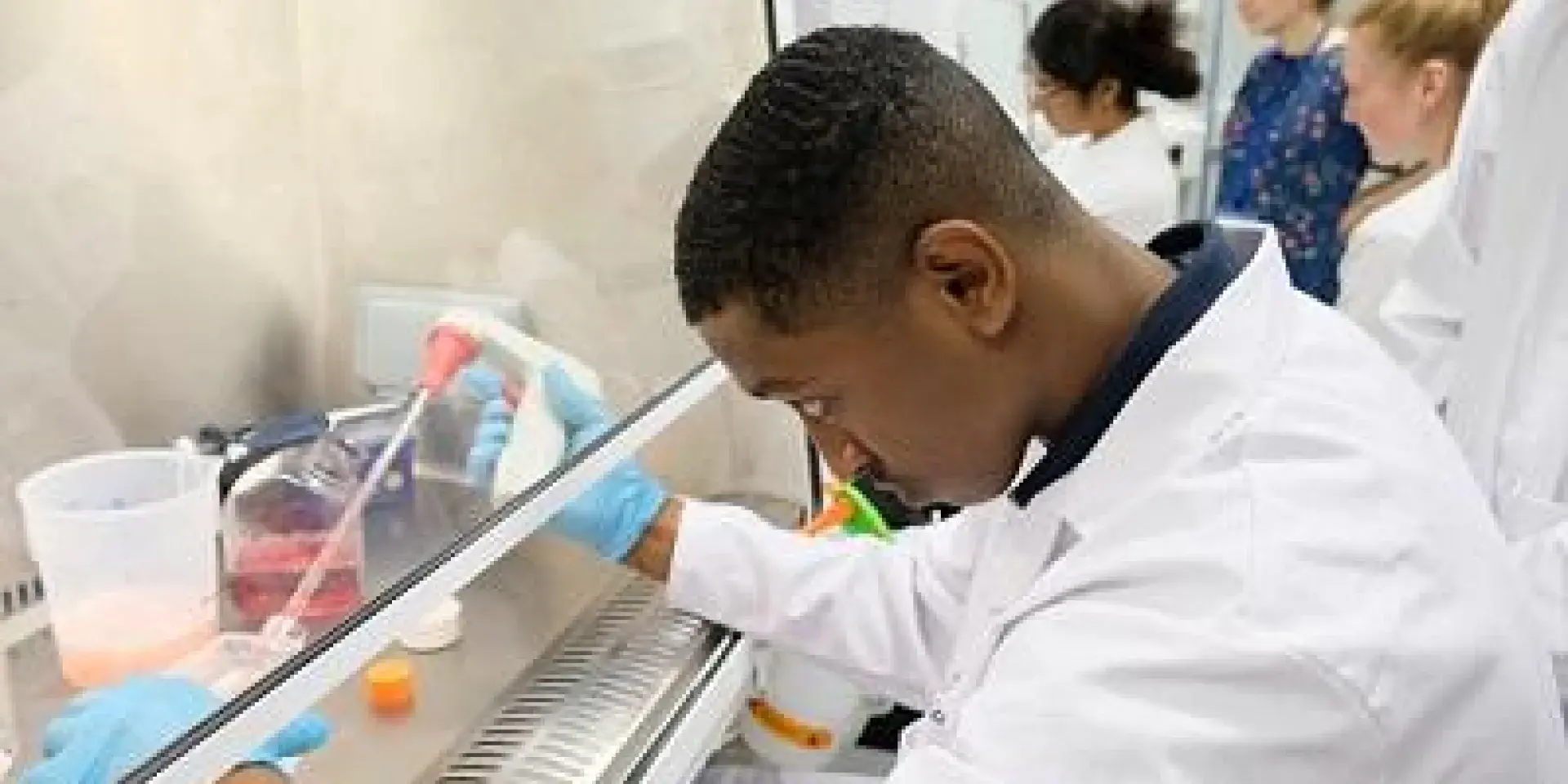 Science Insights work experience programme