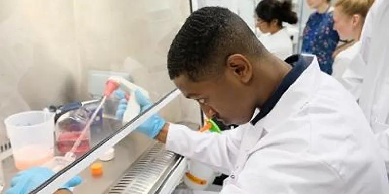 Science Insights work experience programme