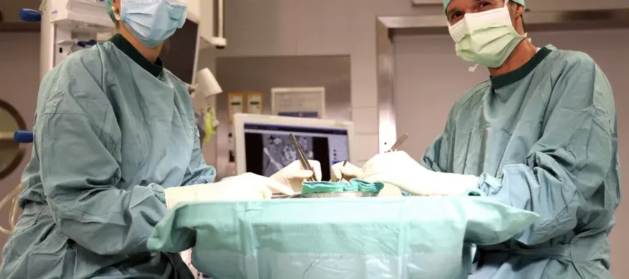 Specialised sensory cell structures could be key to improved liver transplant success