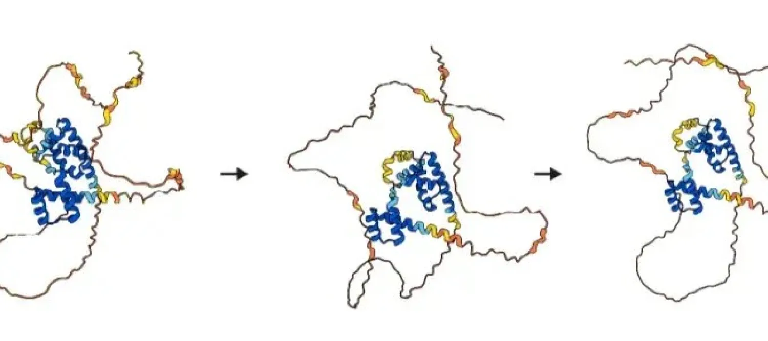 Cartoon 3D representation of OCT4 showing how engineered reprogramming factors were established.