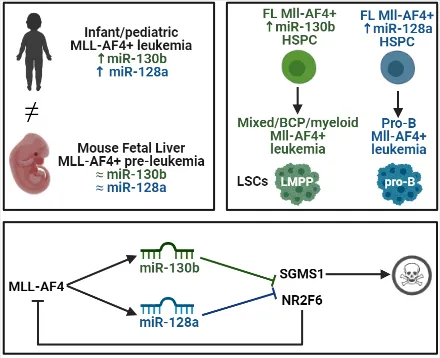 graphical summary of research