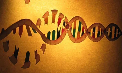 Still from Stem Cell Revolution