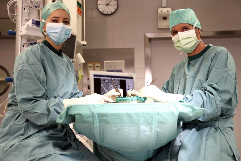 Specialised sensory cell structures could be key to improved liver transplant success