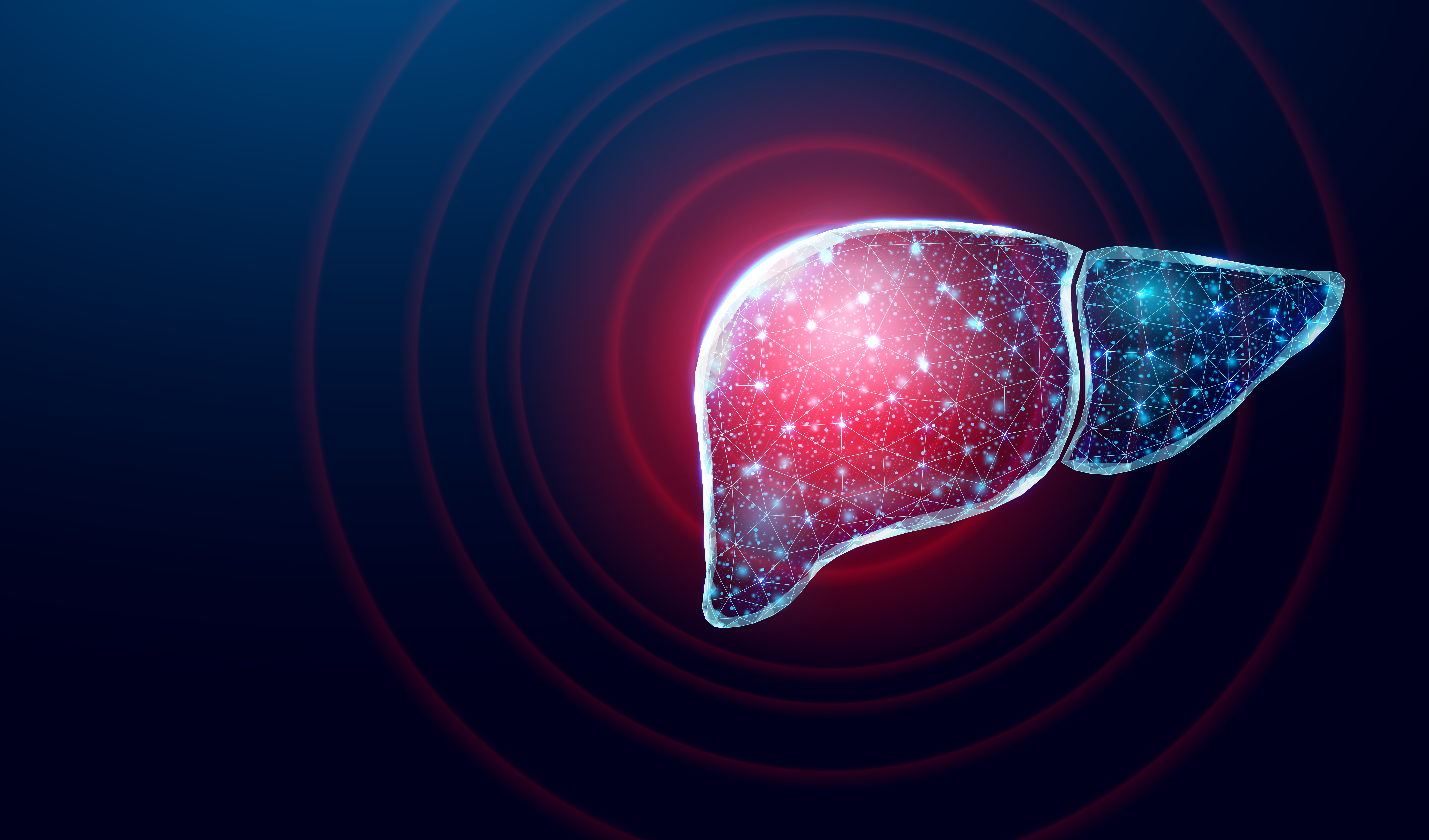 3D computer generated image of liver on blue background showing a network of connections in the liver